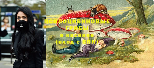 трава Алзамай