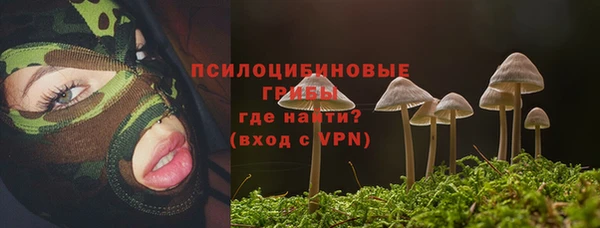 дмт Абдулино
