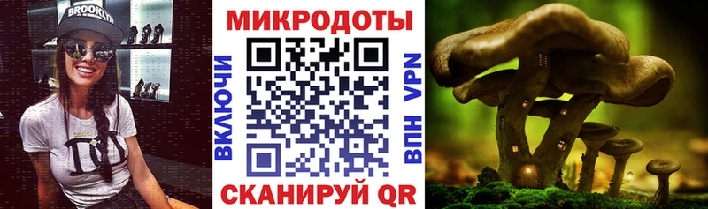 Галлюциногенные грибы MAGIC MUSHROOMS  Железногорск-Илимский 